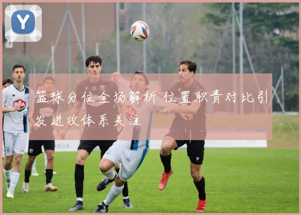 篮球分位全场解析 位置职责对比引发进攻体系关注