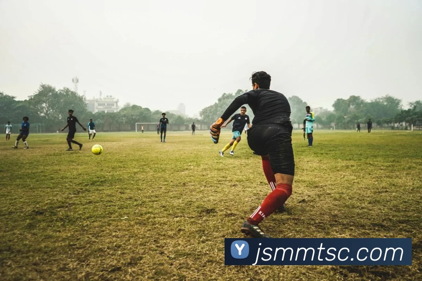 九游官方体育入口平台生态图