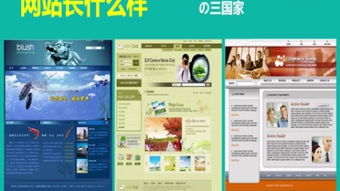 网站建设 构建数字世界的基石